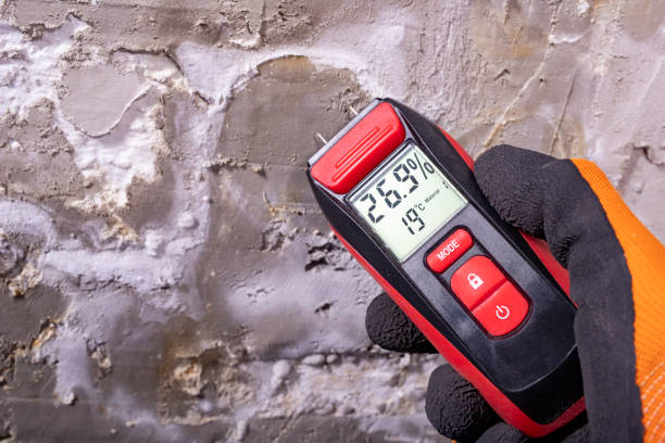 Best Mold Remediation for Schools in Corralitos, CA